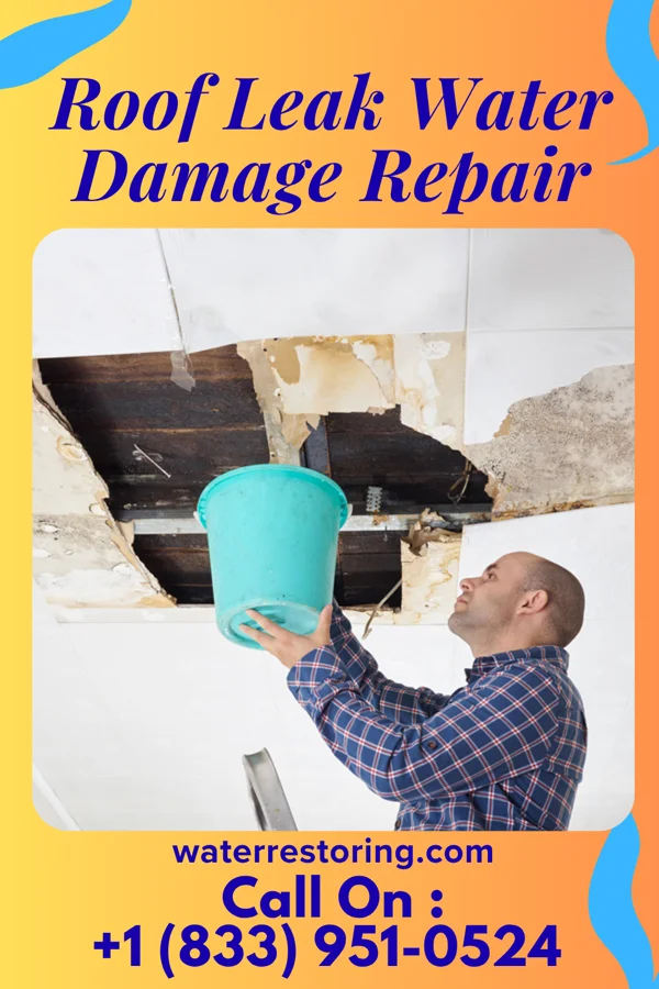 Roof Leak Water Damage Repair in Marble Cliff, OH