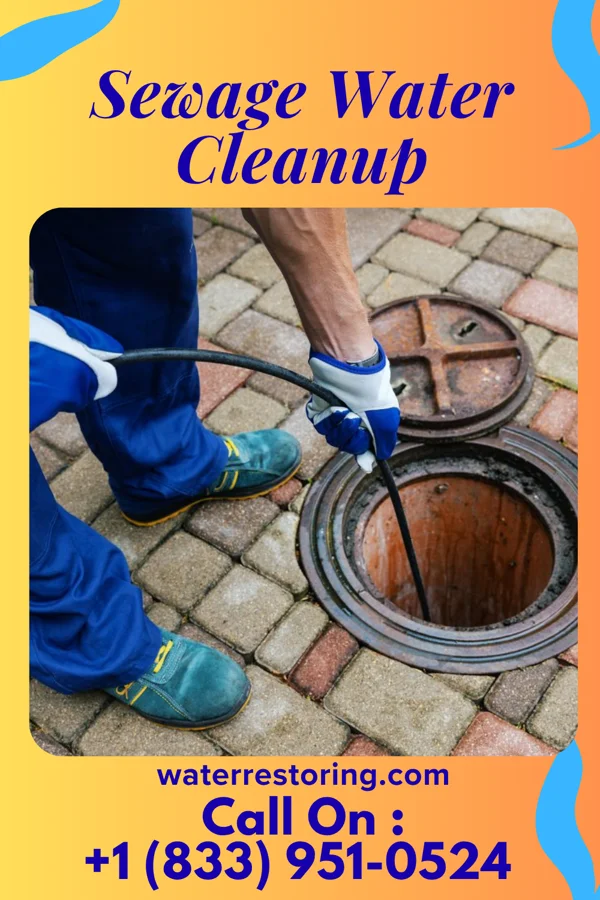 Sewage Water Cleanup in Marble Cliff, OH