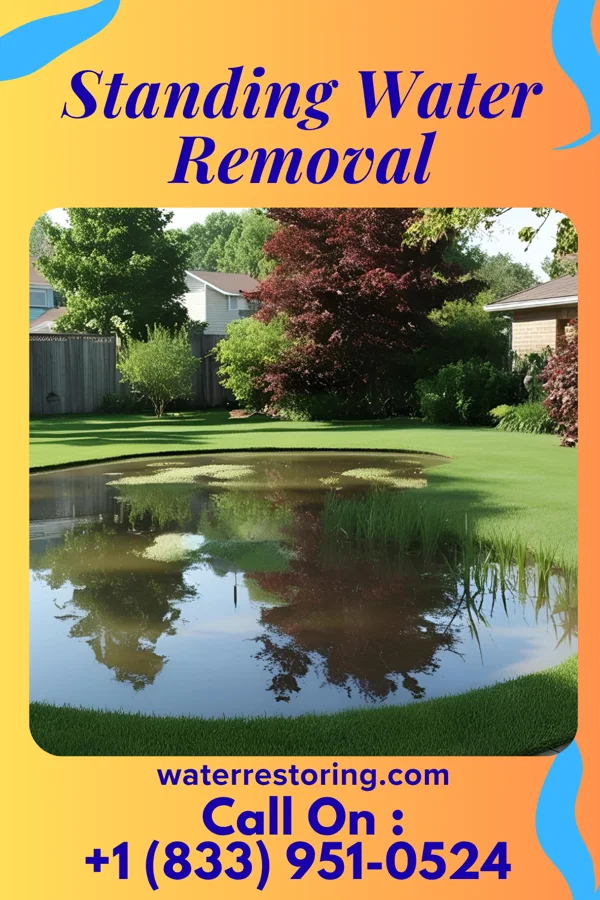 Standing Water Removal in Marble Cliff, OH